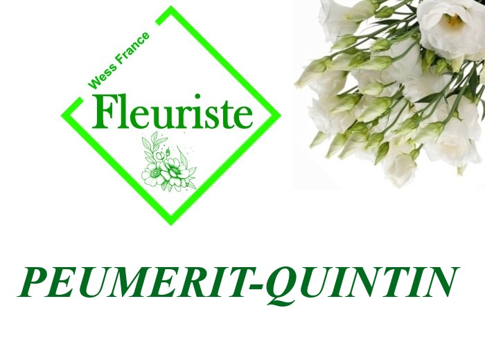 Fleuriste Peumerit-Quintin Fleuriste Peumerit-Quintin - livraison de fleurs Peumerit-Quintin