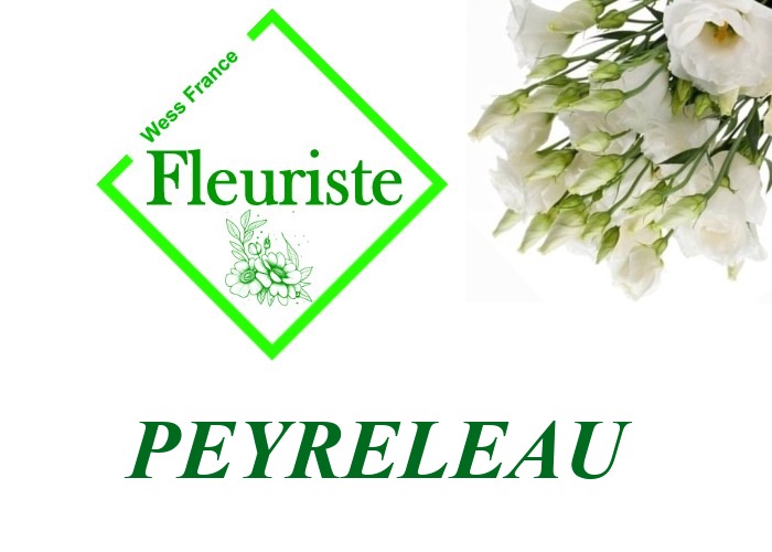 Fleuriste Peyreleau Fleuriste Peyreleau - livraison de fleurs Peyreleau