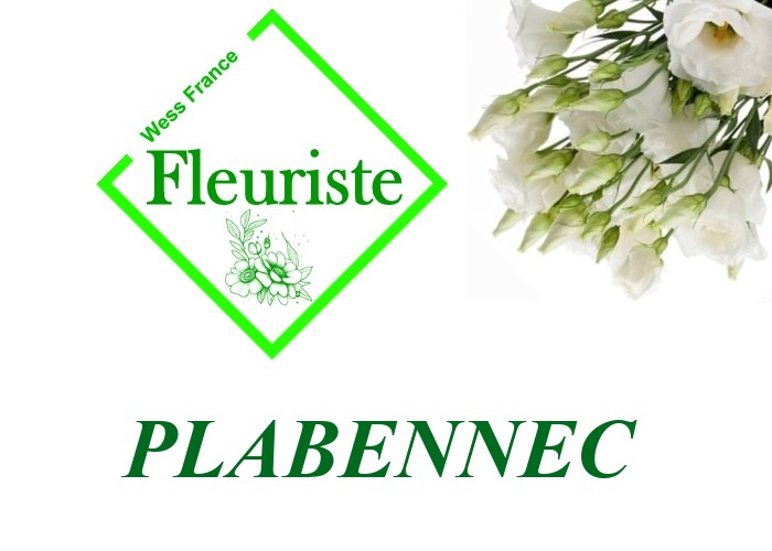 Fleuriste Plabennec Fleuriste Plabennec - livraison de fleurs Plabennec