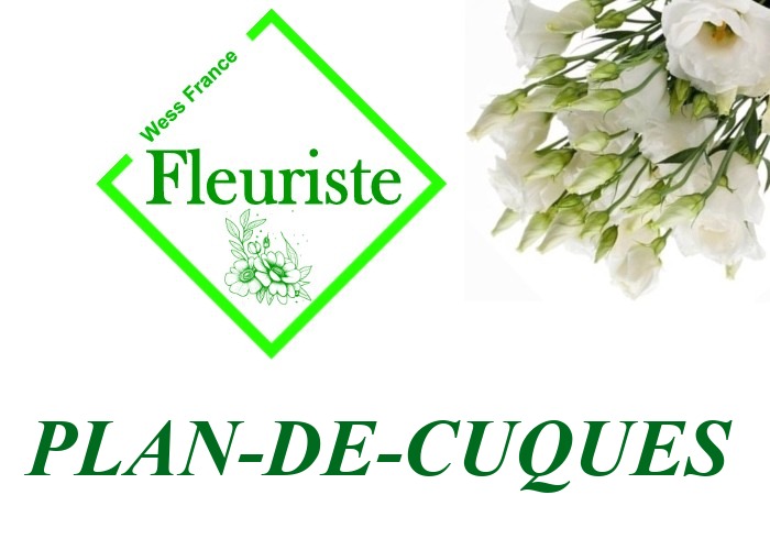 Fleuriste Plan-de-Cuques Fleuriste Plan-de-Cuques - livraison de fleurs Plan-de-Cuques