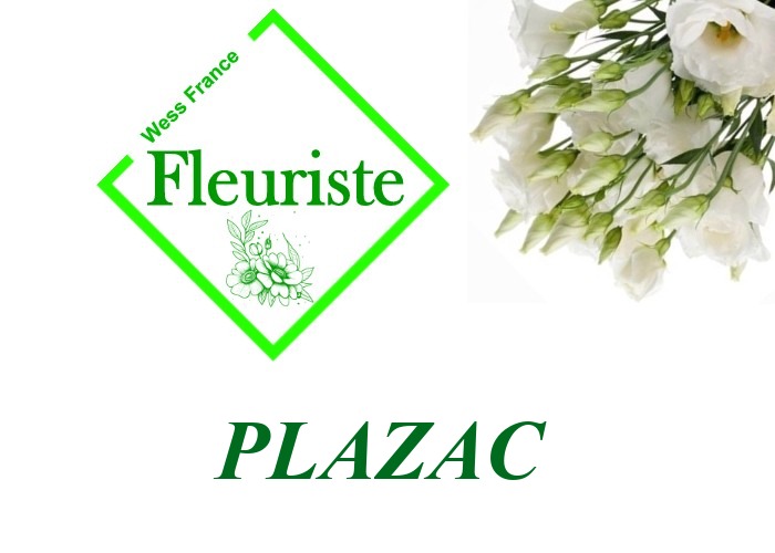 Fleuriste Plazac Fleuriste Plazac - livraison de fleurs Plazac