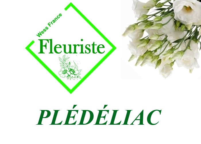 Fleuriste Plédéliac Fleuriste Plédéliac - livraison de fleurs Plédéliac