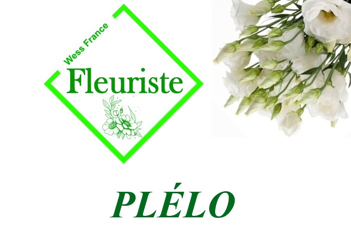 Fleuriste Plélo - livraison de fleurs Plélo