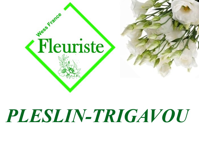 Fleuriste Pleslin-Trigavou Fleuriste Pleslin-Trigavou - livraison de fleurs Pleslin-Trigavou