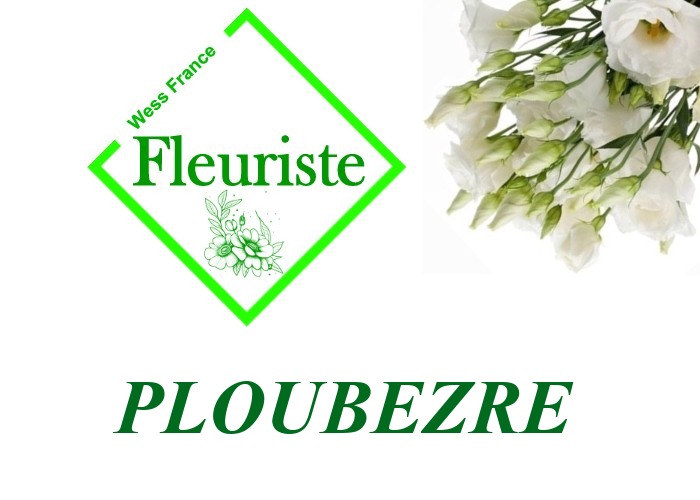 Fleuriste Ploubezre Fleuriste Ploubezre - livraison de fleurs Ploubezre