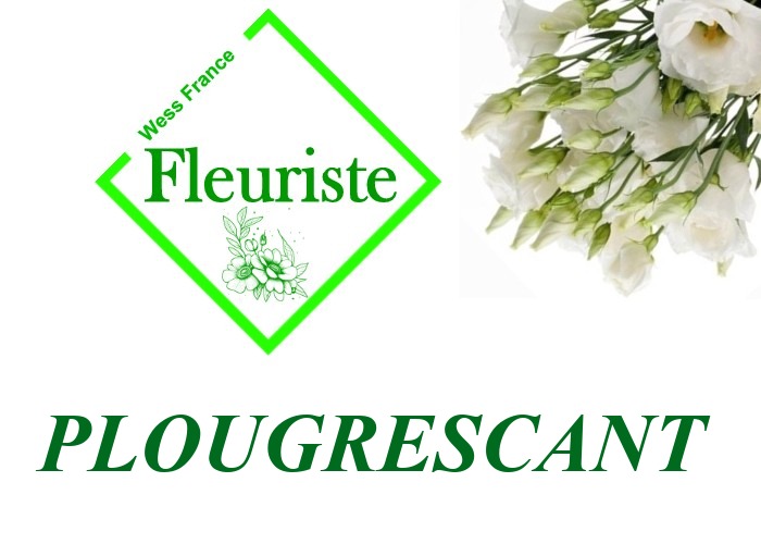 Fleuriste Plougrescant Fleuriste Plougrescant - livraison de fleurs Plougrescant