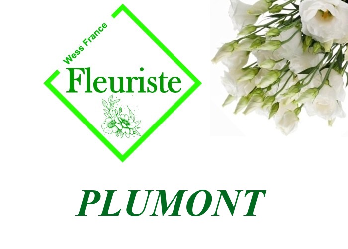 Fleuriste Plumont - livraison de fleurs Plumont