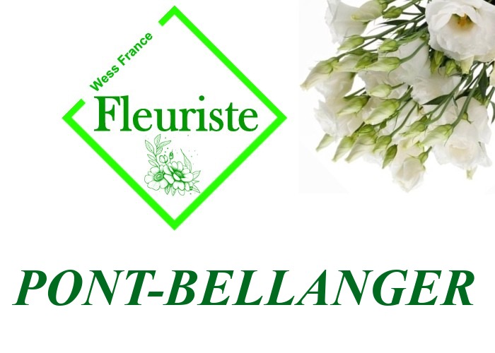 Fleuriste Pont-Bellanger Fleuriste Pont-Bellanger - livraison de fleurs Pont-Bellanger