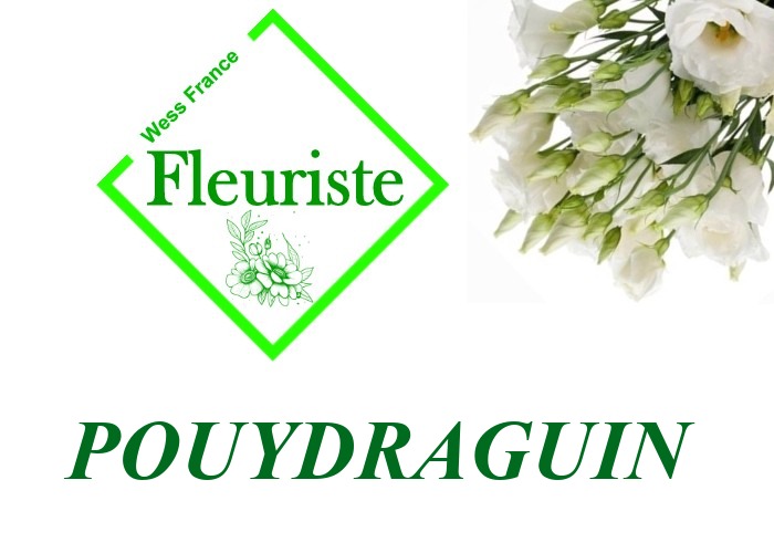 Fleuriste Pouydraguin - livraison de fleurs Pouydraguin