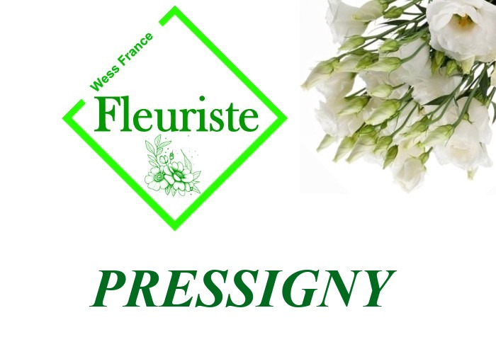 Fleuriste Pressigny - livraison de fleurs Pressigny