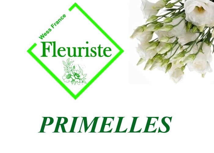 Fleuriste Primelles Fleuriste Primelles - livraison de fleurs Primelles