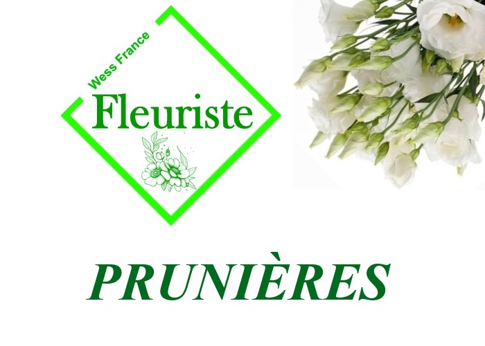 Fleuriste Prunières Fleuriste Prunières - livraison de fleurs Prunières
