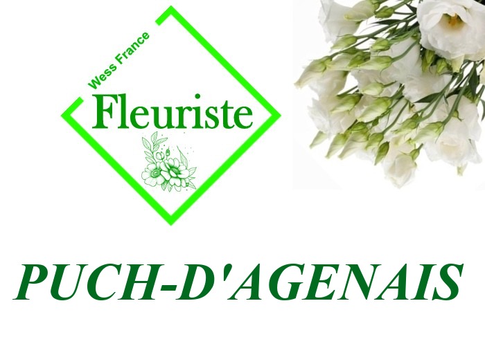 Fleuriste Puch-d'Agenais Fleuriste Puch-d'Agenais - livraison de fleurs Puch-d'Agenais