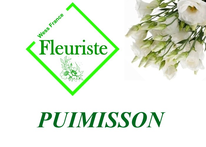 Fleuriste Puimisson Fleuriste Puimisson - livraison de fleurs Puimisson