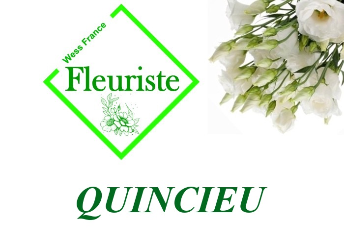 Fleuriste Quincieu Fleuriste Quincieu - livraison de fleurs Quincieu