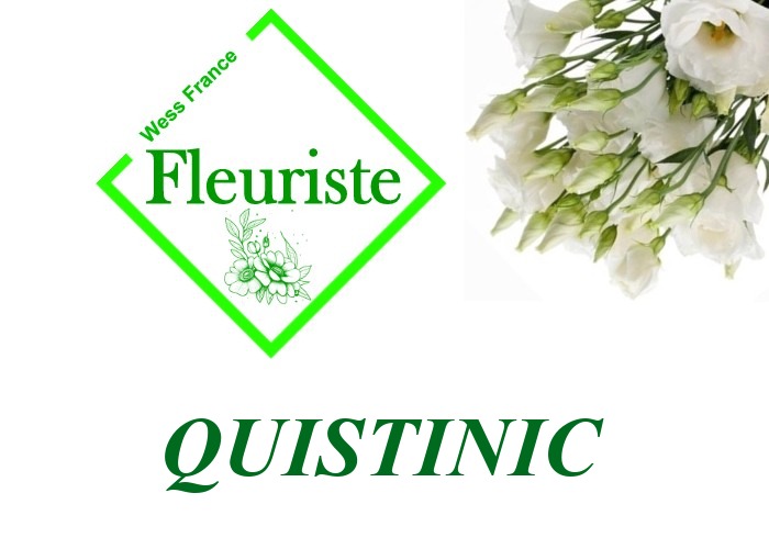 Fleuriste Quistinic - livraison de fleurs Quistinic