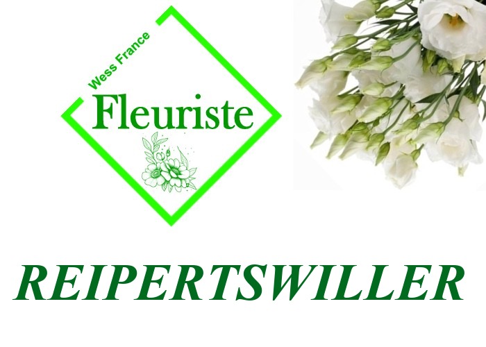 Fleuriste Reipertswiller - livraison de fleurs Reipertswiller