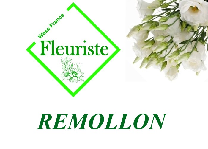 Fleuriste Remollon - livraison de fleurs Remollon