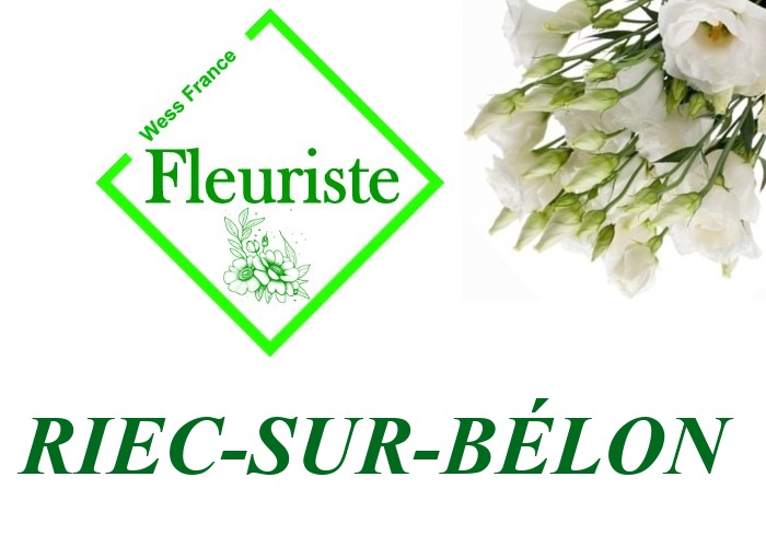 Fleuriste Riec-sur-Bélon Fleuriste Riec-sur-Bélon - livraison de fleurs Riec-sur-Bélon