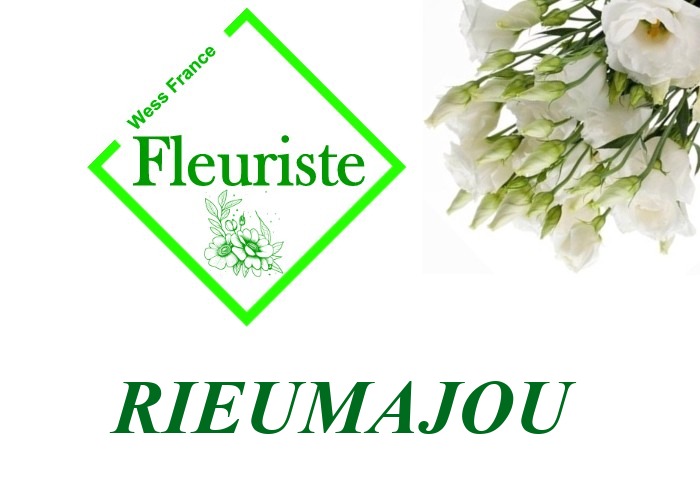 Fleuriste Rieumajou - livraison de fleurs Rieumajou