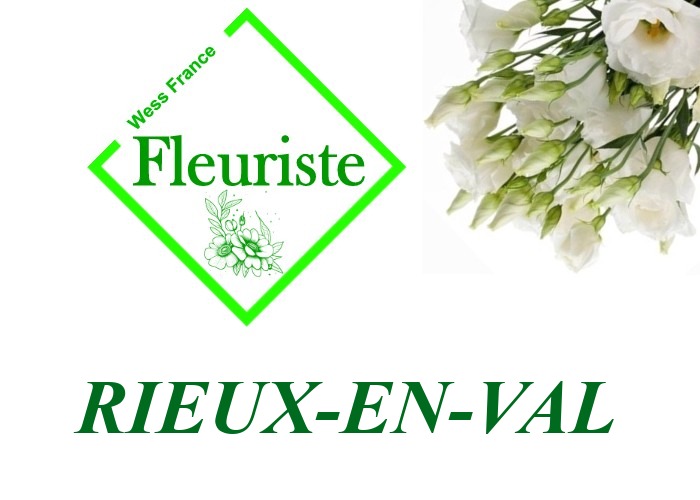 Fleuriste Rieux-en-Val Fleuriste Rieux-en-Val - livraison de fleurs Rieux-en-Val