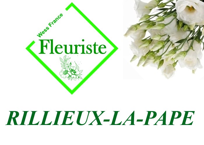 Fleuriste Rillieux-la-Pape Fleuriste Rillieux-la-Pape - livraison de fleurs Rillieux-la-Pape