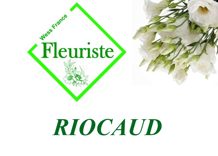 Fleuriste Riocaud Fleuriste Riocaud - livraison de fleurs Riocaud