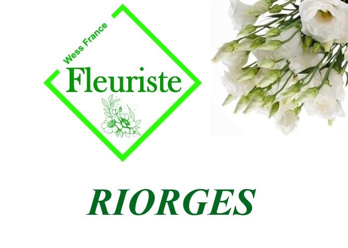 Fleuriste Riorges Fleuriste Riorges - livraison de fleurs Riorges