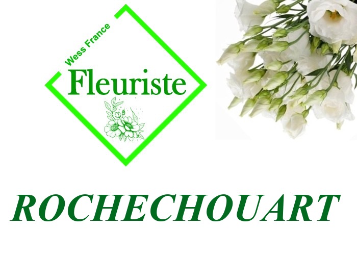 Fleuriste Rochechouart - livraison de fleurs Rochechouart