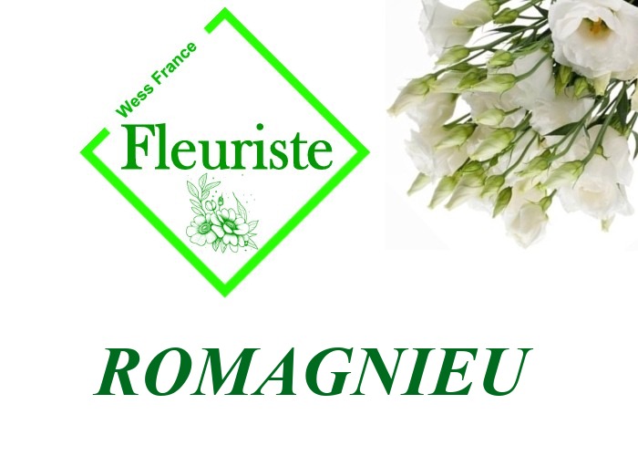 Fleuriste Romagnieu Fleuriste Romagnieu - livraison de fleurs Romagnieu