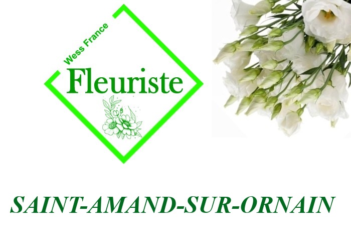 Fleuriste Saint-Amand-sur-Ornain Fleuriste Saint-Amand-sur-Ornain - livraison de fleurs Saint-Amand-sur-Ornain