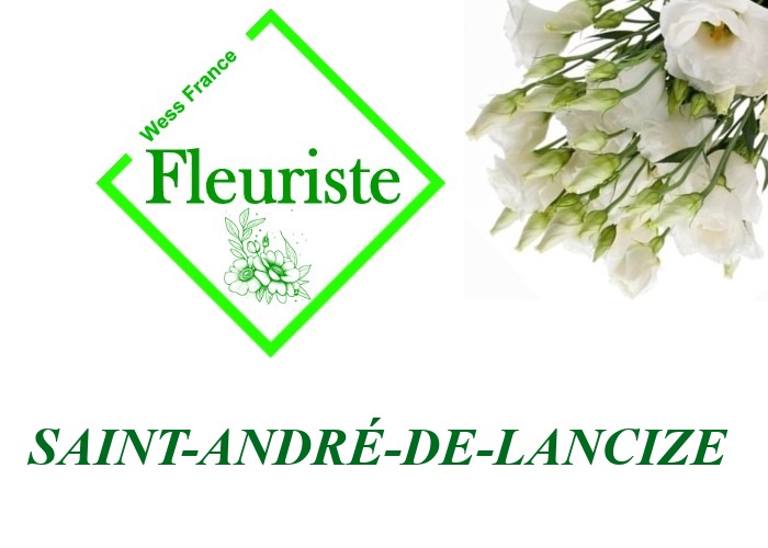 Fleuriste Saint-André-de-Lancize Fleuriste Saint-André-de-Lancize - livraison de fleurs Saint-André-de-Lancize