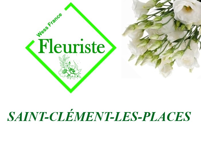 Fleuriste Saint-Clément-les-Places Fleuriste Saint-Clément-les-Places - livraison de fleurs Saint-Clément-les-Places