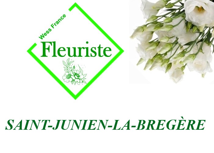Fleuriste Saint-Junien-la-Bregère Fleuriste Saint-Junien-la-Bregère - livraison de fleurs Saint-Junien-la-Bregère