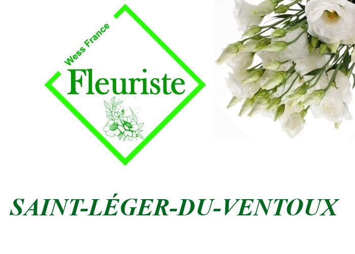 Fleuriste Saint-Léger-du-Ventoux Fleuriste Saint-Léger-du-Ventoux - livraison de fleurs Saint-Léger-du-Ventoux