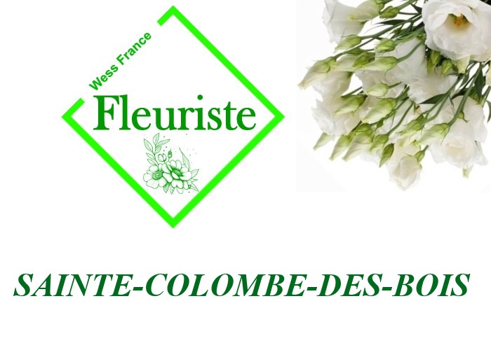 Fleuriste Sainte-Colombe-des-Bois Fleuriste Sainte-Colombe-des-Bois - livraison de fleurs Sainte-Colombe-des-Bois