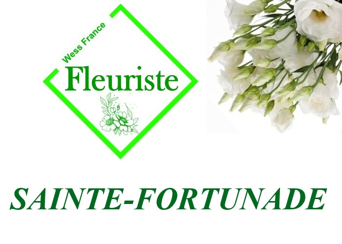 Fleuriste Sainte-Fortunade Fleuriste Sainte-Fortunade - livraison de fleurs Sainte-Fortunade
