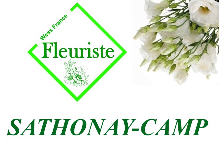 Fleuriste Sathonay-Camp Fleuriste Sathonay-Camp - livraison de fleurs Sathonay-Camp