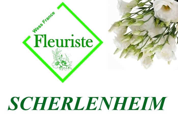 Fleuriste Scherlenheim Fleuriste Scherlenheim - livraison de fleurs Scherlenheim