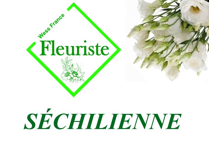 Fleuriste Séchilienne Fleuriste Séchilienne - livraison de fleurs Séchilienne