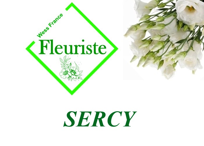 Fleuriste Sercy Fleuriste Sercy - livraison de fleurs Sercy