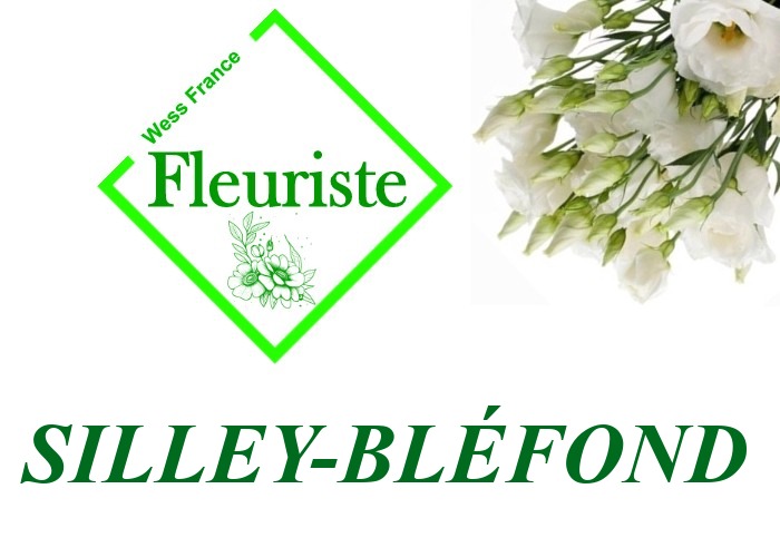 Fleuriste Silley-Bléfond Fleuriste Silley-Bléfond - livraison de fleurs Silley-Bléfond