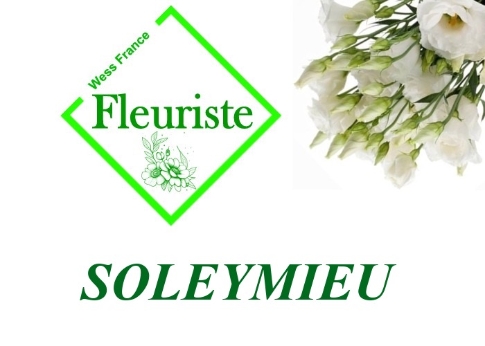 Fleuriste Soleymieu Fleuriste Soleymieu - livraison de fleurs Soleymieu