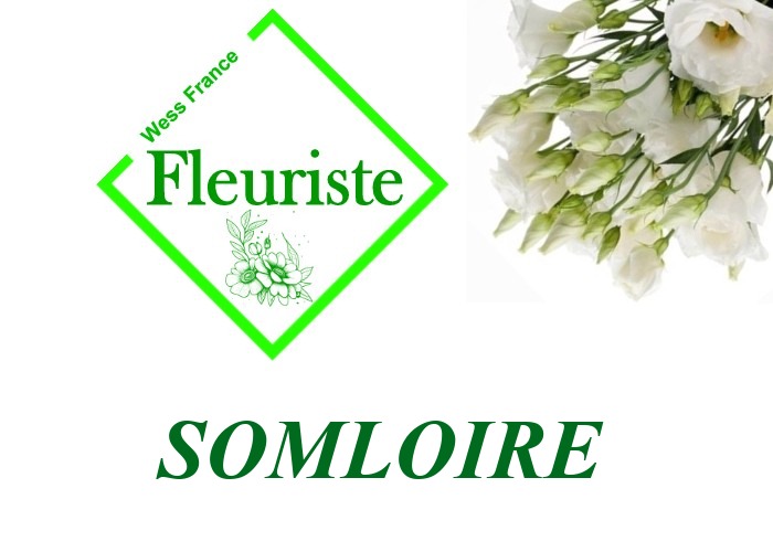 Fleuriste Somloire - livraison de fleurs Somloire