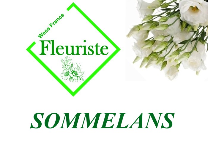 Fleuriste Sommelans Fleuriste Sommelans - livraison de fleurs Sommelans