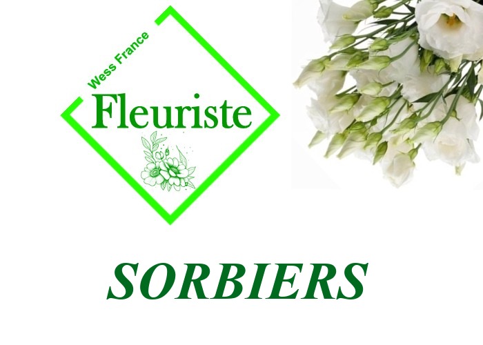 Fleuriste Sorbiers - livraison de fleurs Sorbiers
