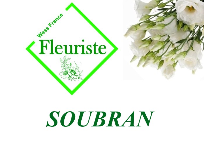 Fleuriste Soubran Fleuriste Soubran - livraison de fleurs Soubran