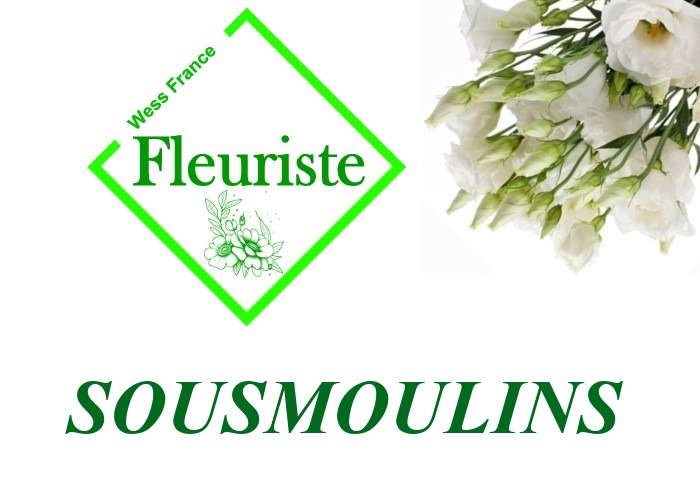 Fleuriste Sousmoulins - livraison de fleurs Sousmoulins
