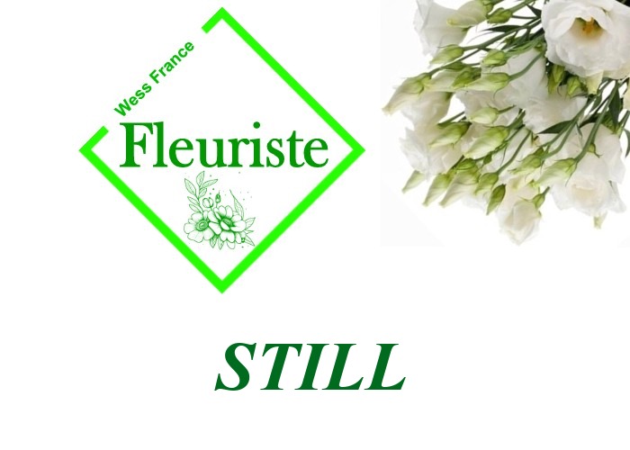 Fleuriste Still - livraison de fleurs Still