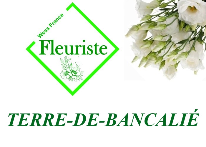 Fleuriste Terre-de-Bancalié Fleuriste Terre-de-Bancalié - livraison de fleurs Terre-de-Bancalié